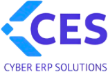 Cyber ERP Solutions